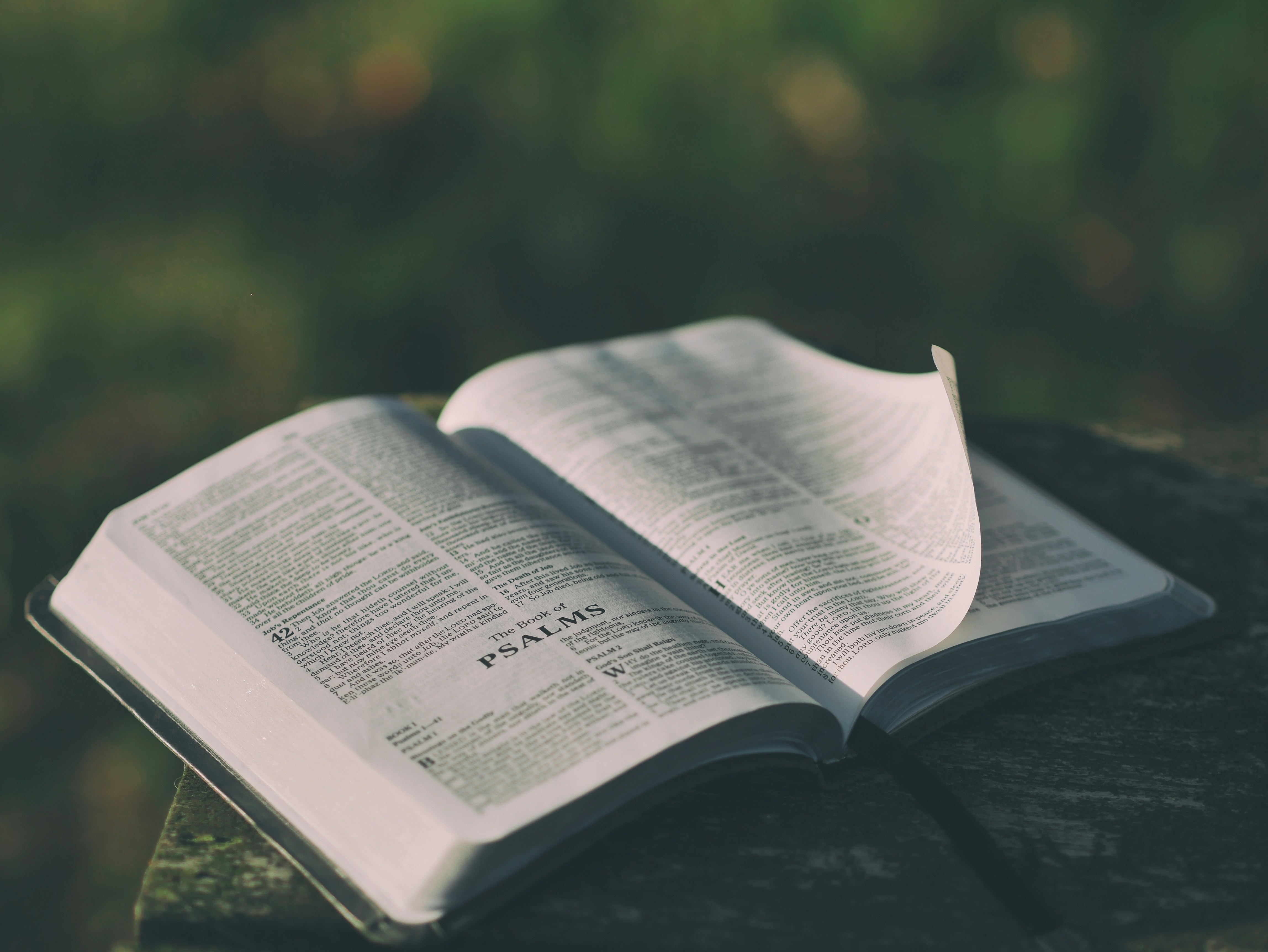Open Bible on a wooden surface